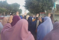 وقفة لحرائر الإبراهيمية بكفر أبوالديب بأسبوع "أنقذوا مصر "
