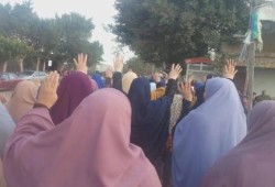 وقفة لحرائر الإبراهيمية بكفر أبوالديب بأسبوع "أنقذوا مصر "
