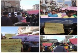 البحيرة: مسيرة حاشدة بحوش عيسى تنديدًا باستهداف أمن الانقلاب للثوار