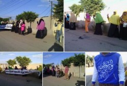 الغربية: فعالية مناهضة للانقلاب بمركز السنطة ضمن فعاليات "أنقذوا مصر"