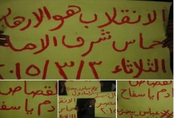 شمال سيناء: وقفة ليلية بمركز بئر العبد فى أسبوع "أنقذوا مصر"