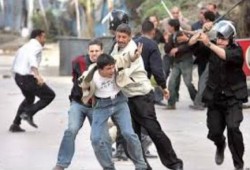 مركز "النديم" يصدر تقريره الشهري عن العنف والتعذيب داخل سجون الانقلاب