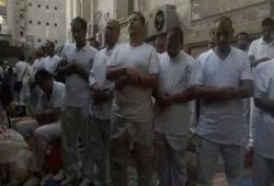 بالأسماء.. "استئناف طنطا" تخلي سبيل 29 من رافضي الانقلاب بالغربية