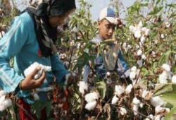 فى عهد السيسي.. عواد باع أرضه