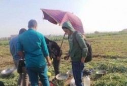 بالصور .. في حرم جامعة الأزهر بأسيوط: فول "حراتي" وحمير