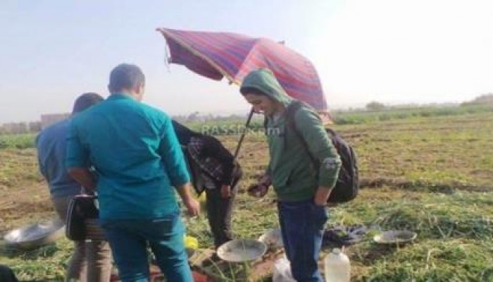 بالصور .. في حرم جامعة الأزهر بأسيوط: فول "حراتي" وحمير