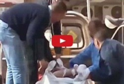 بالفيديو.. نقل مرضى المستشفيات الحكومية بسيارة نقل