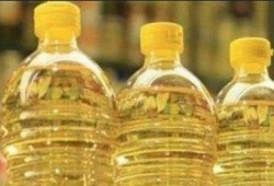 زراعة الانقلاب : نستورد 95% من استهلاك الزيوت سنويًا