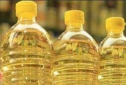 زراعة الانقلاب : نستورد 95% من استهلاك الزيوت سنويًا