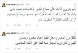وائل قنديل: السكوت على إعدام محمود رمضان "عار"