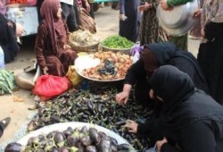 ارتفاع أسعار الخضار يؤزم المواطنين