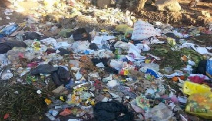 القمامة تحوّل العليقات إلى مركز للحشرات وملجأ للكلاب الضالة