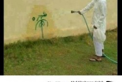 هاشتاج يسخر من "المؤتمر الاقتصادي" يتصدر "تويتر"