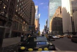 مسيرة سيارات بنيويورك رفضًا لـ"مؤتمر بيع مصر"