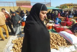 أهالي يوسف الصديق بالفيوم: الأسعار نار