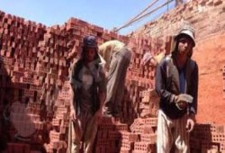 الغربية: تشريد 60 ألف عامل بعد توقف مصانع الطوب