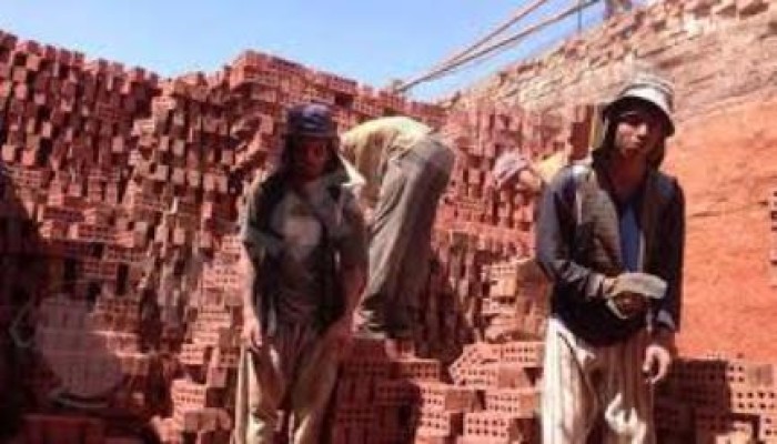 الغربية: تشريد 60 ألف عامل بعد توقف مصانع الطوب