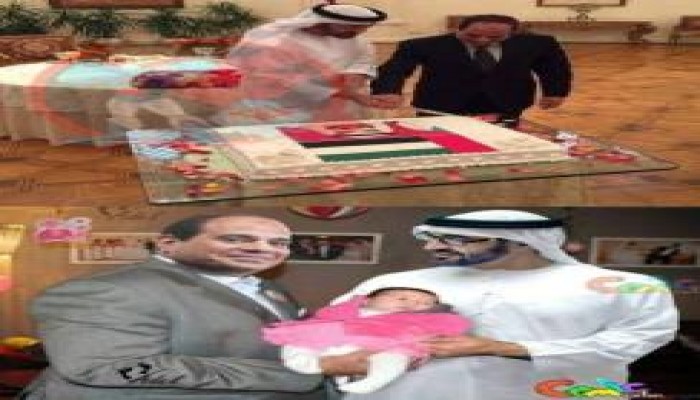 بالصور.. أشهر 10 كوميكسات لتورتة السيسي وابن زايد