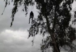 انتحار شاب شنقًا من على شجرة بالدقهلية
