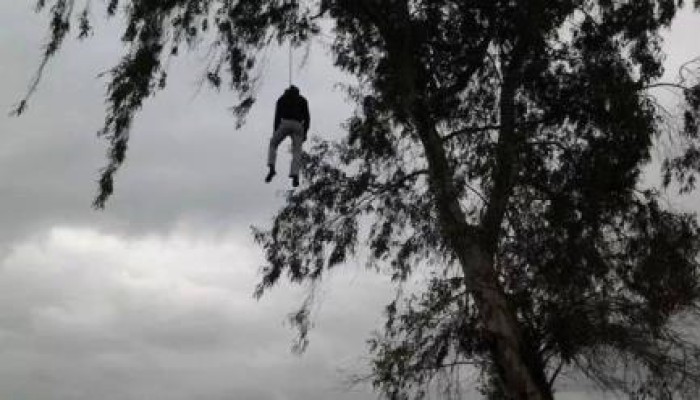 انتحار شاب شنقًا من على شجرة بالدقهلية