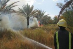 قبيل ساعات من مؤتمر بيع مصر حريق مروع يلتهم 15 فدانًا نخيل بمنطقة كلابشة فى أسوان