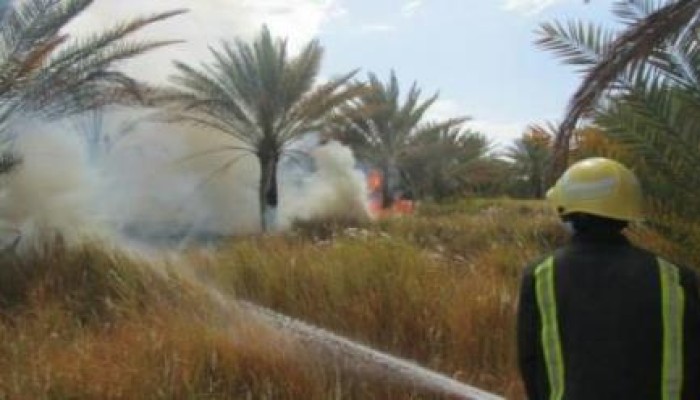 قبيل ساعات من مؤتمر بيع مصر حريق مروع يلتهم 15 فدانًا نخيل بمنطقة كلابشة فى أسوان