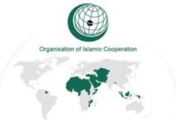 "التعاون الإسلامي" تعلن عن عقد قمة طارئة لاستعراض الوضع في فلسطين
