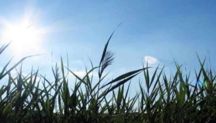 الأرصاد: طقس الجمعة معتدل شمالًا مائل للدفء على الصعيد