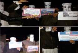فراشة لضنك على الطريق الدولى العريش القنطرة