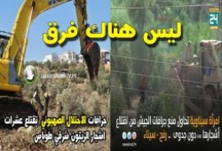 صورة و تعليق " ليس هناك فرق "