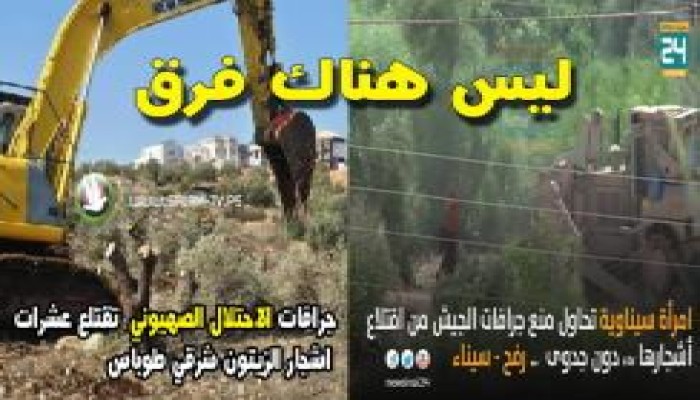 صورة و تعليق " ليس هناك فرق "