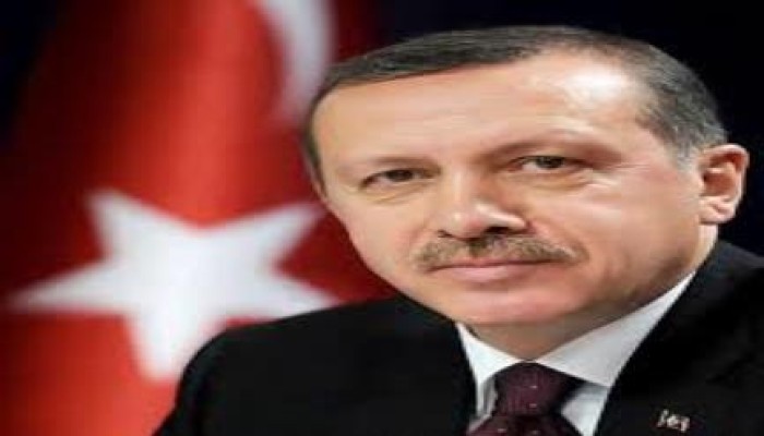 أردوغان يبحث مع تميم تطوير العلاقات التركية القطرية