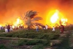 خسائر5 ملايين جنيه في حريق بالشرقية.. وحرق 30 فدان فاكهة بالوادي الجديد