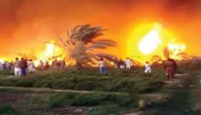 خسائر5 ملايين جنيه في حريق بالشرقية.. وحرق 30 فدان فاكهة بالوادي الجديد