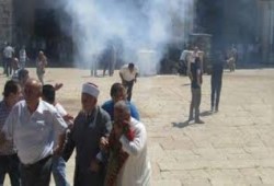 متطرفون صهاينة يقتحمون باحات الأقصي صباح اليوم