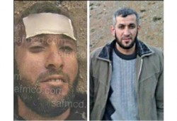 بطل سوري دولي في الجودو بين ضحايا التعذيب بمعتقلات النظام