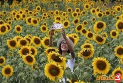 تحذير: التقاط "سيلفي" أثناء كسوف الشمس يسبب العمى