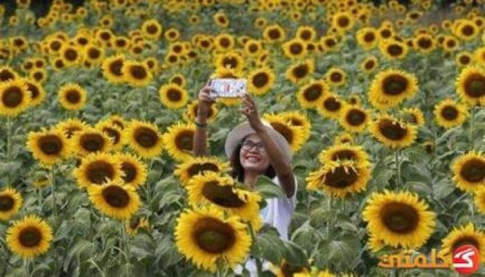 تحذير: التقاط "سيلفي" أثناء كسوف الشمس يسبب العمى