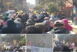 محافظات مصر تنتفض في بداية أسبوع "حيوا أم الشهيد"