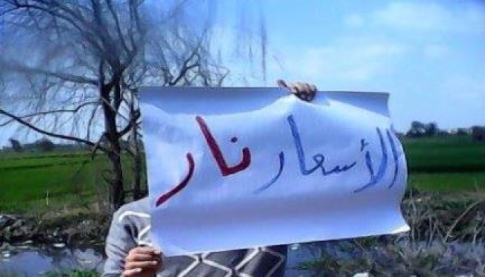 البحيرة : ثوار مركز دمنهور ينظمون سلسلة بشرية ضمن فاعليات "حيوا أم الشهيد"