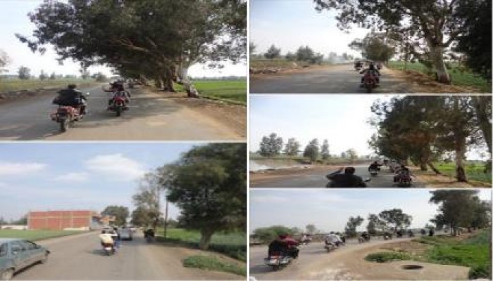 الغربية: مسيرة بالدراجات بمركز السنطة فى جمعة"حيوا أم الشهيد"