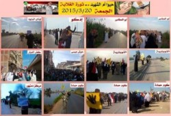 ثوار مدن ومراكز البحيرة ينتفضون بمظَّاهرات حاشدة مطلع أسبوع "حيوا أم الشهيد"