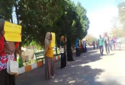 بالصور.. سلسلة لطالبات جامعة أسوان رفضا لمحاولة الإنقلاب تكميم أفواه الطلاب