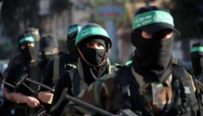 الأناضول: حشرات إلكترونية تبحث عن الجنود الإسرائيليين الأسرى بـ"‏غزة‬"