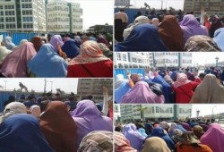 البحيرة : مسيره لطلاب جامعة دمنهور تتضامن مع إضراب معتقلي "سلخانة الأبعادية"