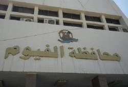 نشطاء الفيوم يسخرون من "فنكوش" العسكر