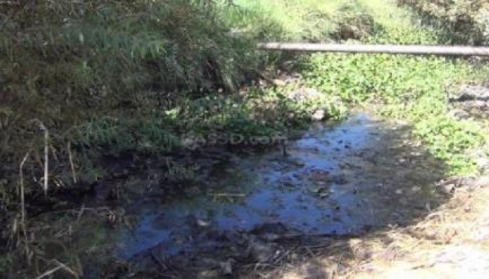 مزارعو نجع حمادي: "مصرف الميه مسدود وبيوتنا هتتخرب"