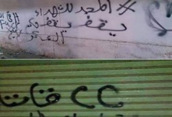 حملة "جداريات" مناهضة للانقلاب بالقليوبية