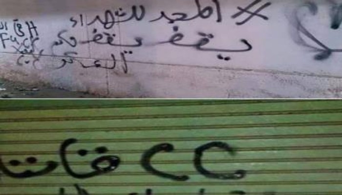 حملة "جداريات" مناهضة للانقلاب بالقليوبية