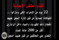 بالفيديو.. نشطاء يتضامنون مع معتقلي "الأبعادية" في إضرابهم عن الطعام